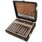 Adventura Cigars The Explorer Corona Gorda Kiste offen
