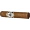 Casa De Torres Zigarren Short Robusto_02