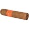 Montosa Claro Short Robusto_Zigarre