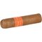 Montosa Claro Short Robusto_Zigarre