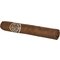 Maduro Robusto stick 2