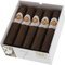 El Septimo Luxus White Exception Light Kiste offen