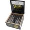 Black Label Trading Company Black Works Studio Green Hornet Robusto Kiste offen