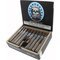 Black Label Trading Company Black Works Studio Intergalactic Robusto Kiste offen