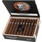 Event Horizon Robusto Kiste offen