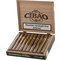 Cibao Connecticut Corona Gorda Kiste offen