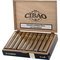 Cibao Connecticut Gordo Kiste offen