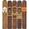 Premium Robusto sticks