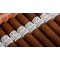 ACE Prime Cigars Luciano Fiat Lux Insight Detailbild