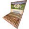 Joya de Nicaragua Clasico Churchill Kiste offen