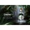 Canaima Gin Small Batch Gin (0,7 l / 47 % vol.) Stimmungsbild