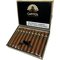 Capitol Premium Nicaragua Gala Kiste offen