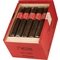 Exposure No. 1 Robusto Kiste offen
