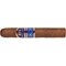 Villiger 1888 Nicaragua Robusto  stick