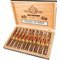 Rare d'Or Belicoso Kiste offen