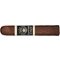 Joya de Nicaragua Cuatro Cinco Doble Robusto_Zigarre