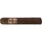 1974 Robusto