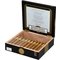 Castro Robusto box open