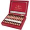 The Edge 20th Anniversary Robusto Kiste offen schräg