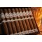 Rocky Patel Dark Star Robusto
