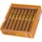 Short Robusto Kiste offen