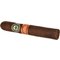 Joya de Nicaragua Clasico Medio Siglo Robusto_Zigarre