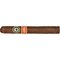 Joya de Nicaragua Clasico Medio Siglo Toro_Zigarre