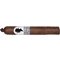 Anniversary Robusto stick