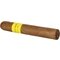 Montosa Amarillo Robusto_02