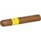 Montosa Amarillo Robusto_03