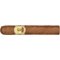 CIGARWORLD Format-Sampler Robusto_Zigarre