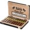 Robusto Box open 2