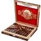 Berger Maduro Salomon box open