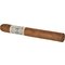 Archive Collection Straphanger stick 2