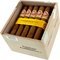 H. Upmann Connossieur No. 2 Kiste offen