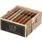 JFR Corojo Robusto box open