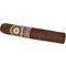 Maduro Gordo stick 2