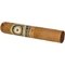Connecticut Robusto stick 2