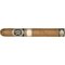 2022 Elegancia Toro stick