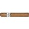 Buena Fe Robusto stick