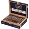 Nuevo Comienzo Robusto box open