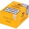1888 San Andres Robusto box