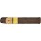 1888 San Andres Robusto stick