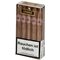 Dominican Santiago Selection DSS Lindas_Bundle