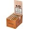 Chinchalero Robusto box open