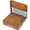 Panter Desert OHNE Filter 20er 04