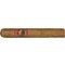 Ibis Dominicana Gran Robusto Fuerte_Zigarre