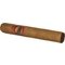 Ibis Dominicana Gran Robusto Fuerte_Zigarre