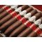 Davidoff Limited Editions Year of the Rabbit 2023 (Perfecto) Kiste Detailbild