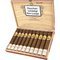 1921 Piramide Maduro 10er Kiste offen